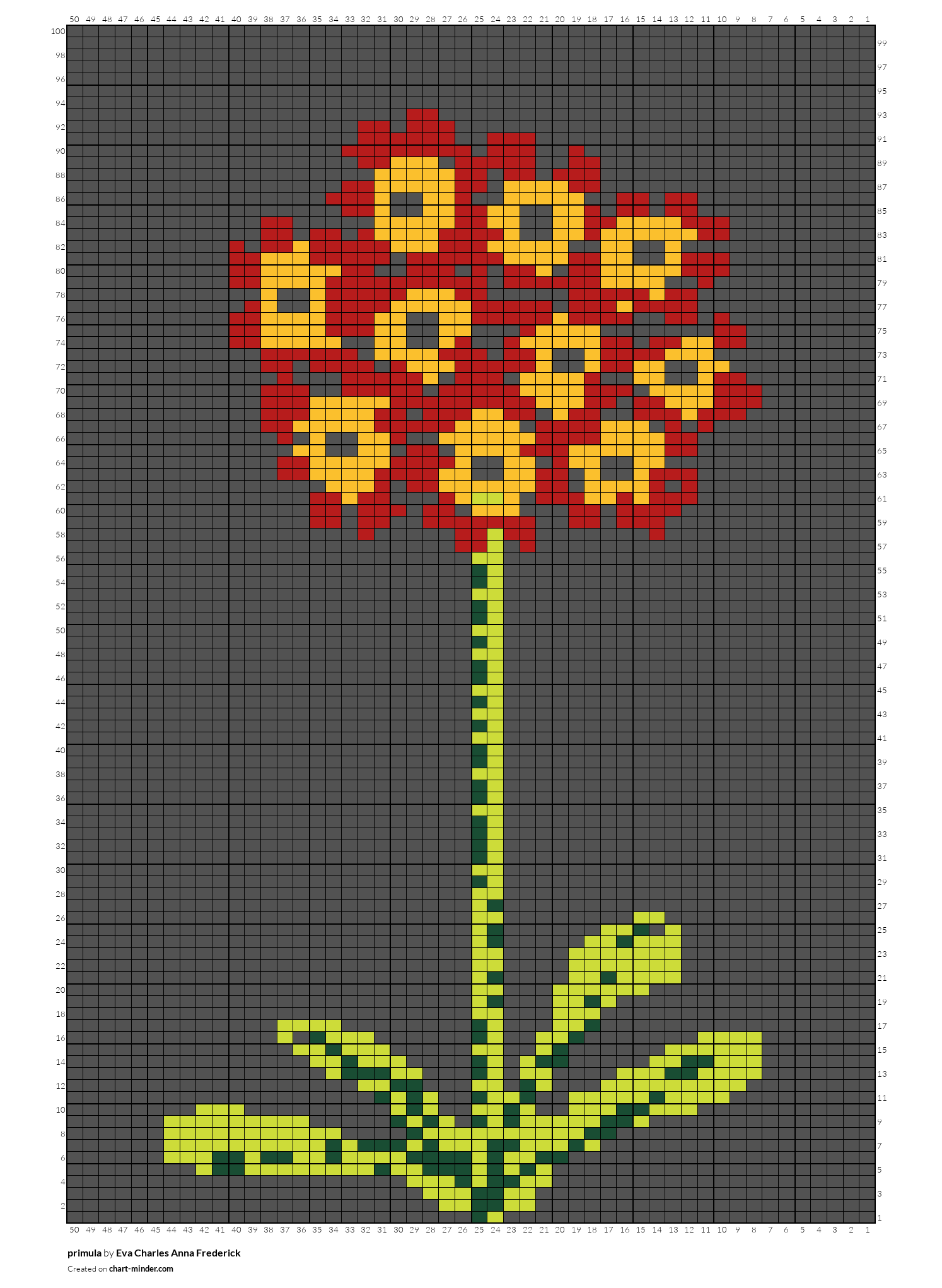primula