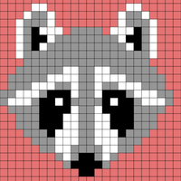 racoon