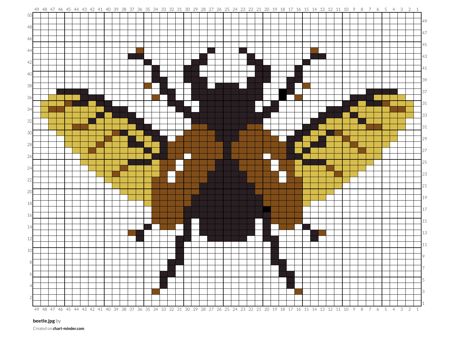beetle.jpg