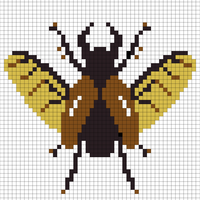 Copy of beetle.jpg