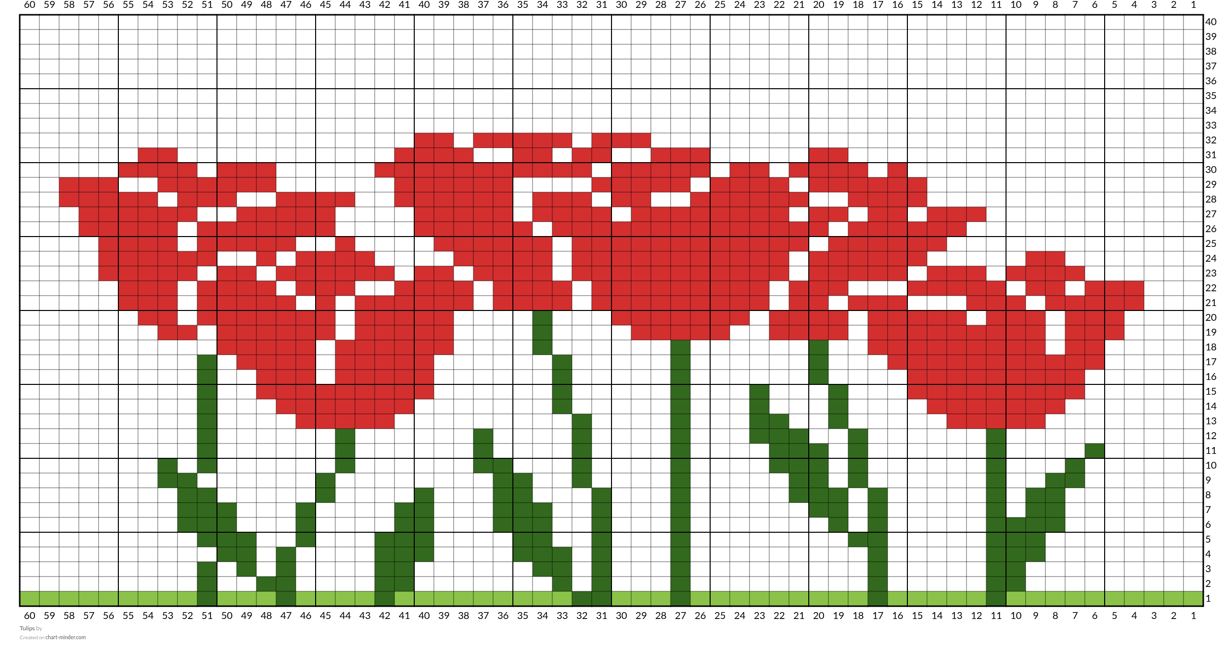 Tulips