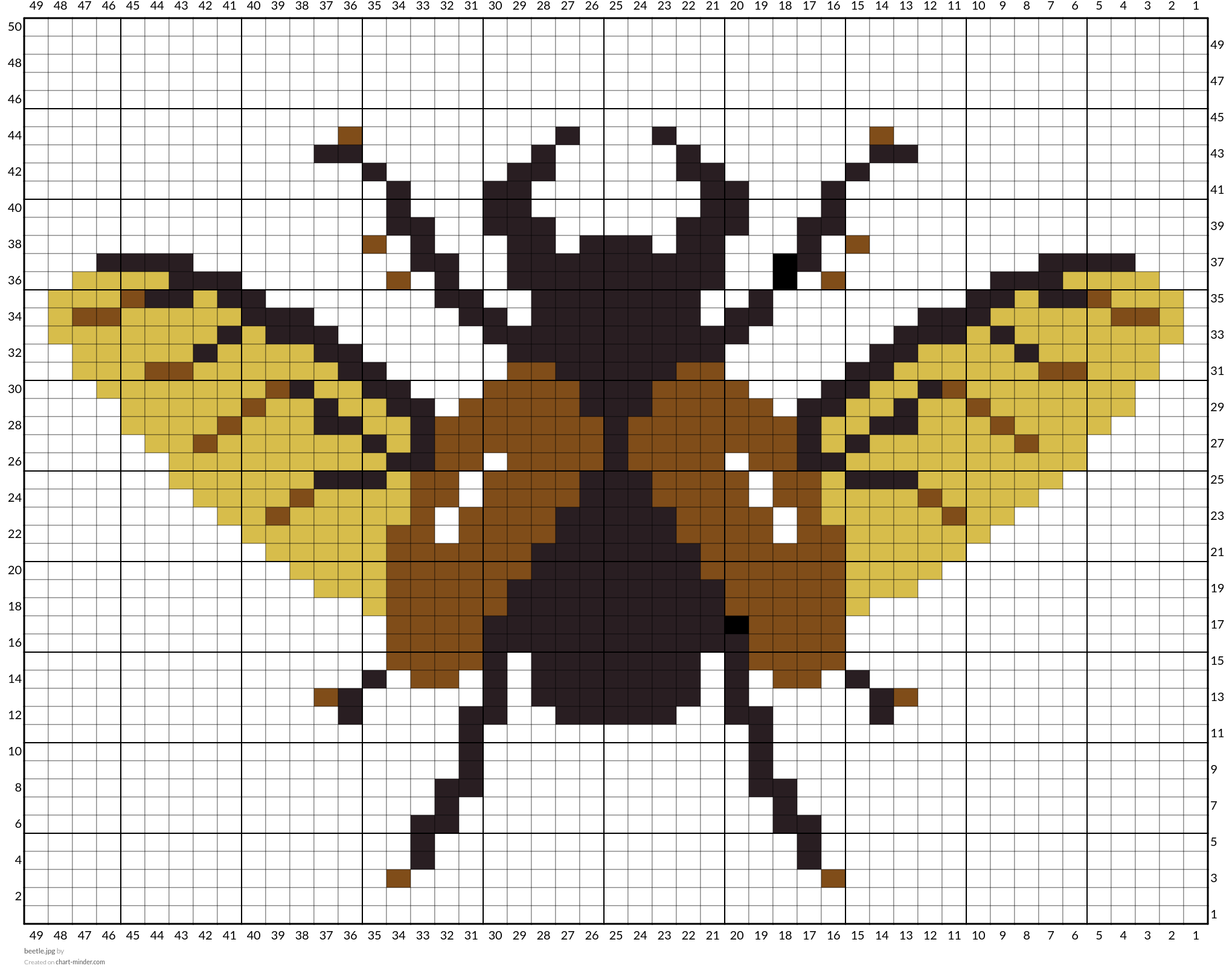 beetle.jpg