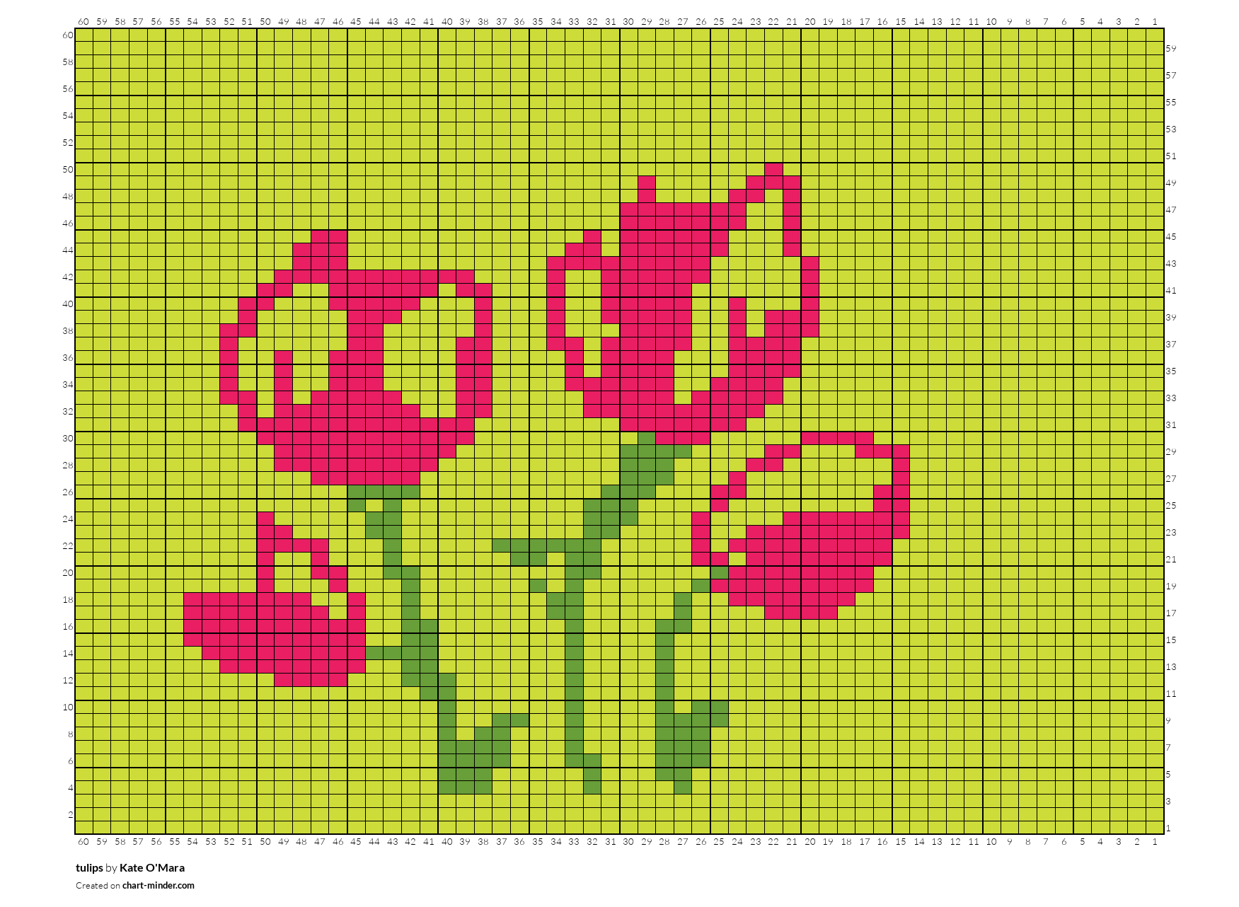 tulips