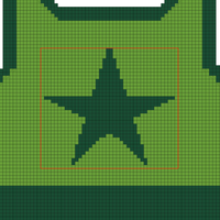 star vest