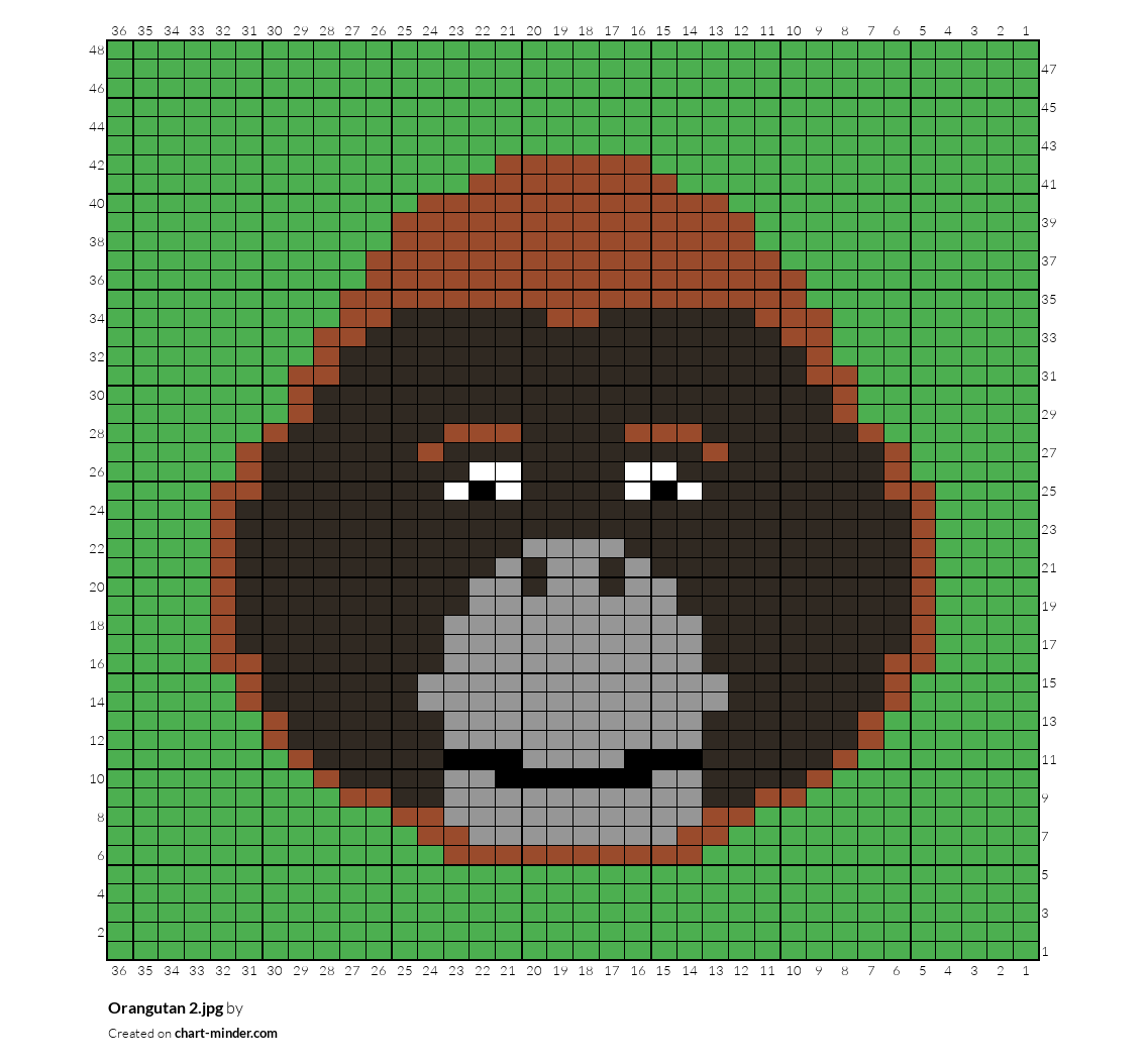 Orangutan 2.jpg