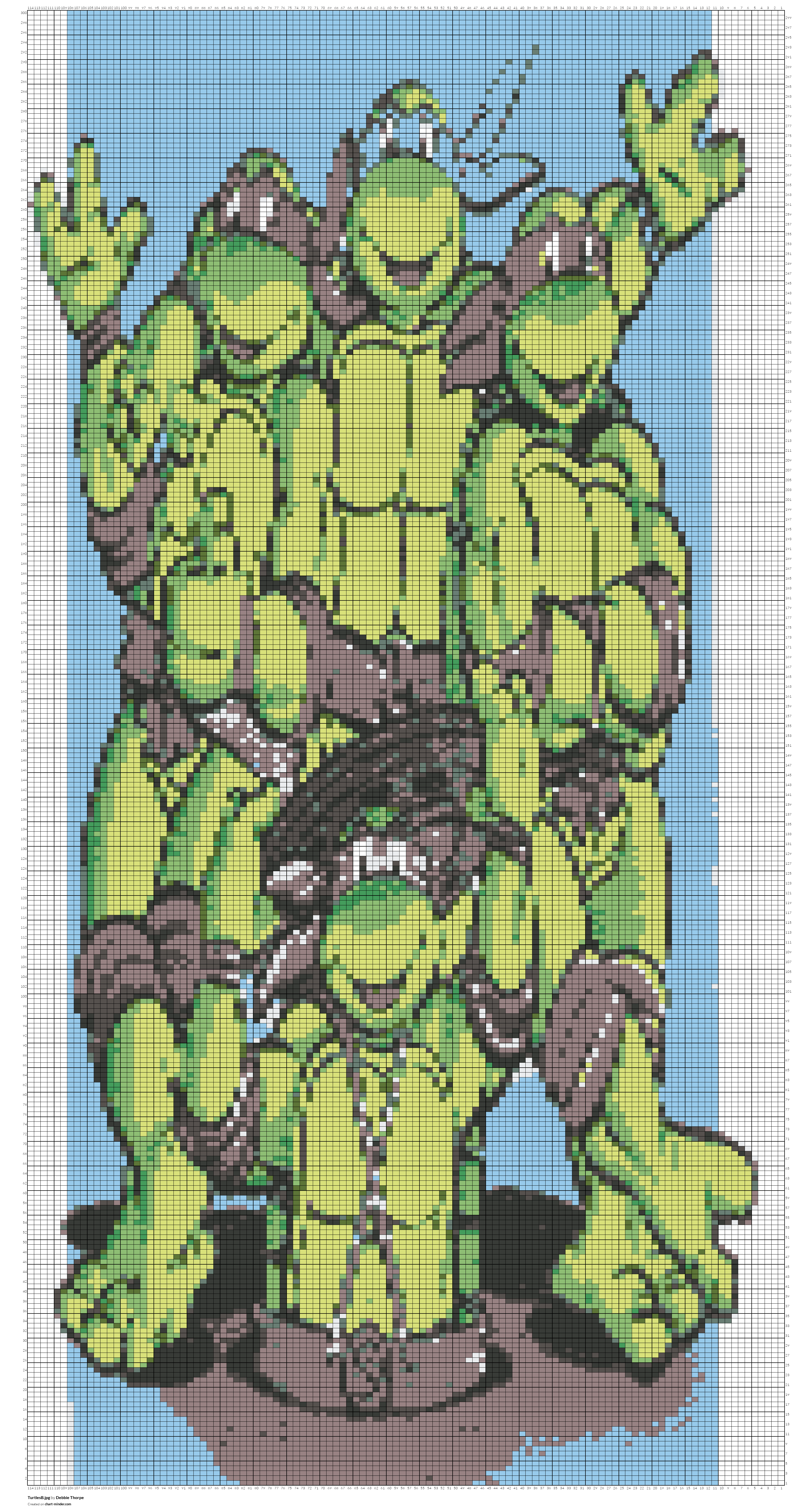 TurtlesB.jpg