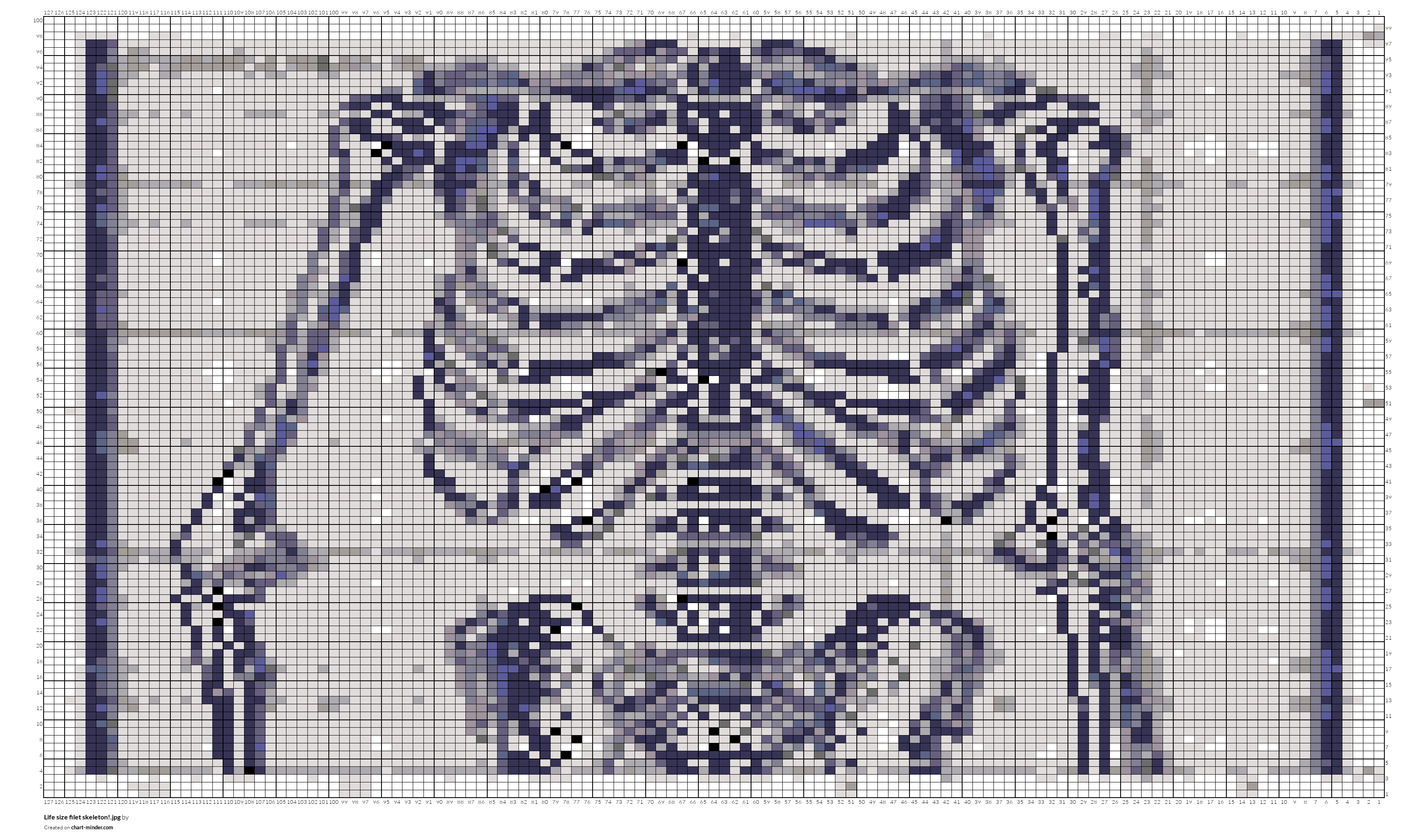 Life size filet skeleton!.jpg