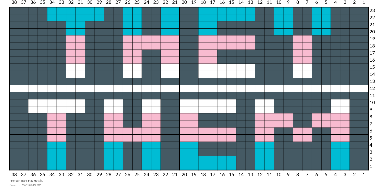 Pronoun Trans Flag Hats