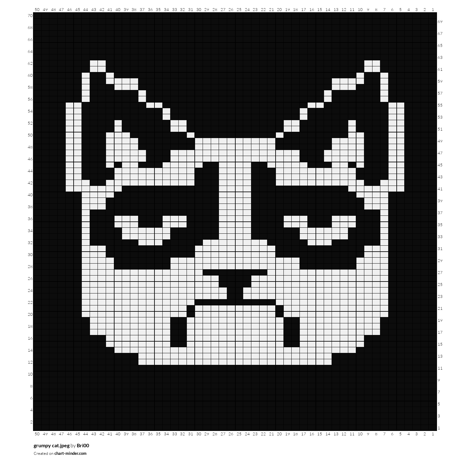 grumpy cat.jpeg