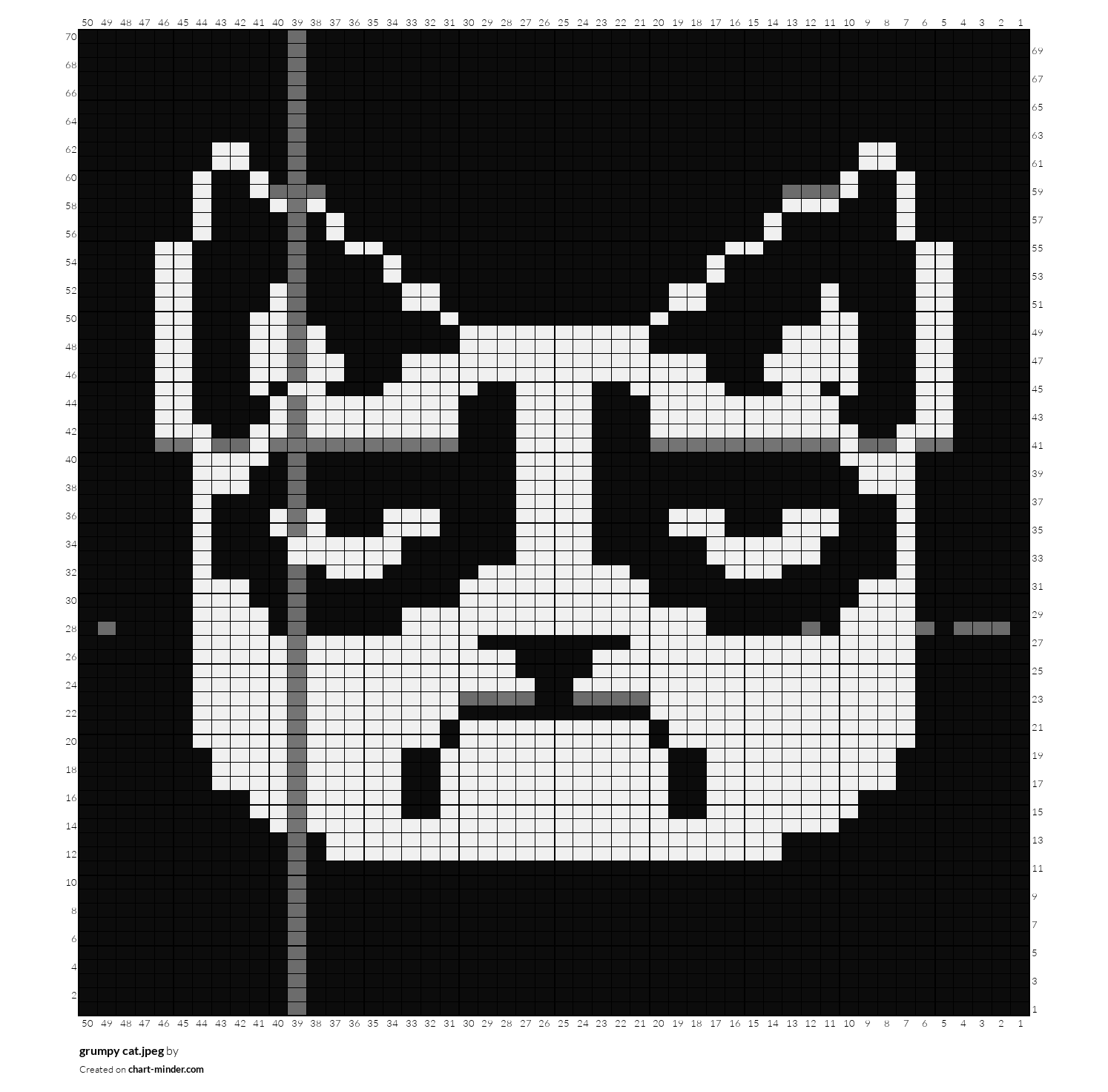 grumpy cat.jpeg