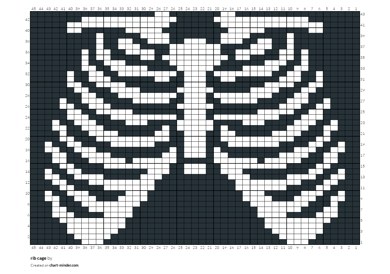 rib cage