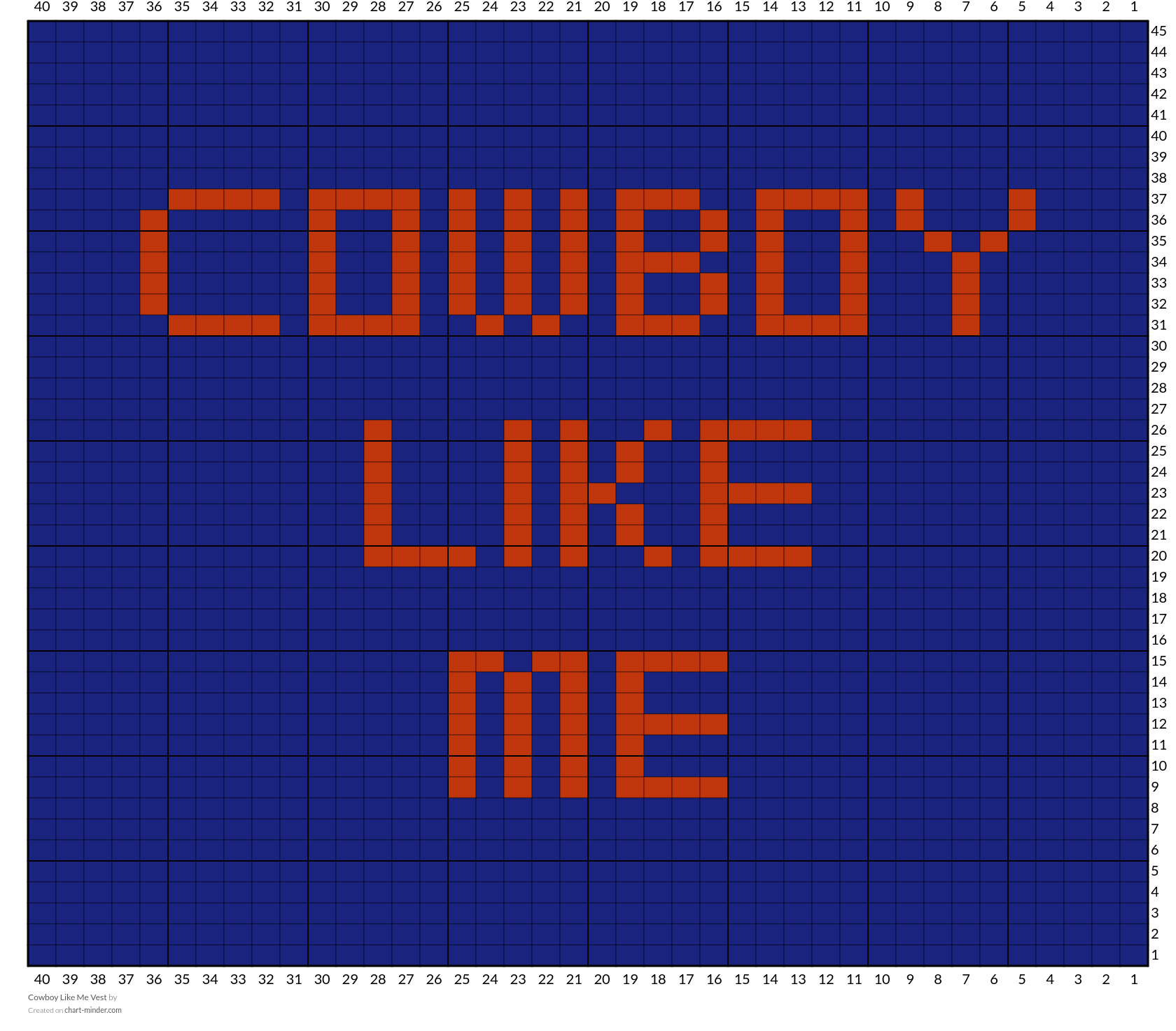 Cowboy Like Me Vest