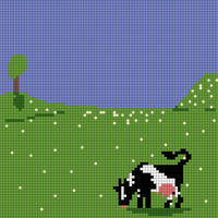 Cows front