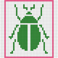 Beetle1