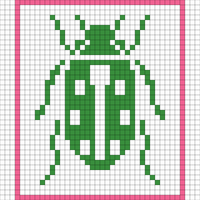 Ladybug