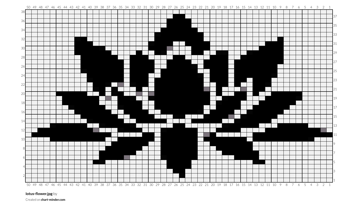 lotus-flower.jpg