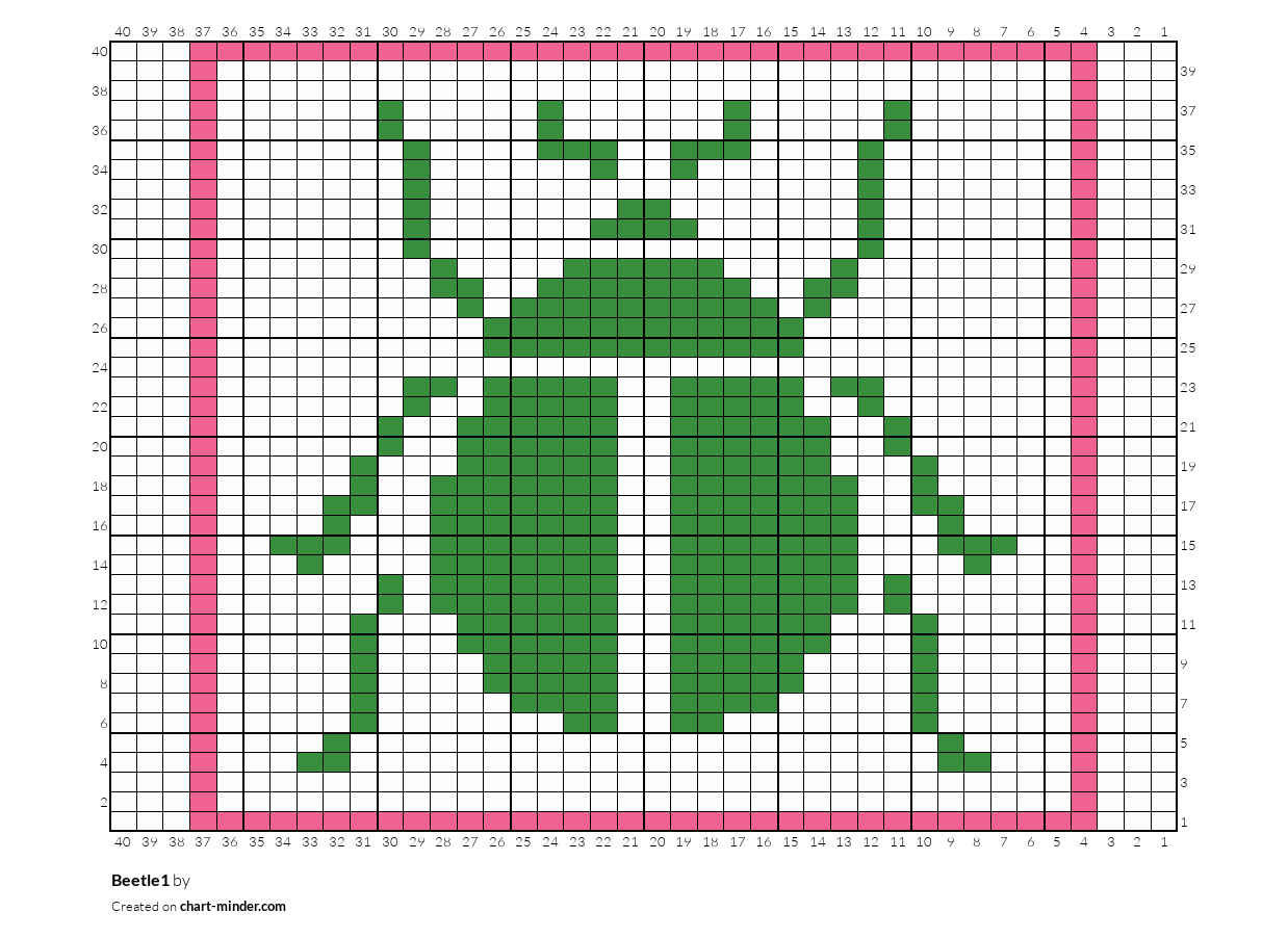 Beetle1