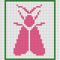 Moth