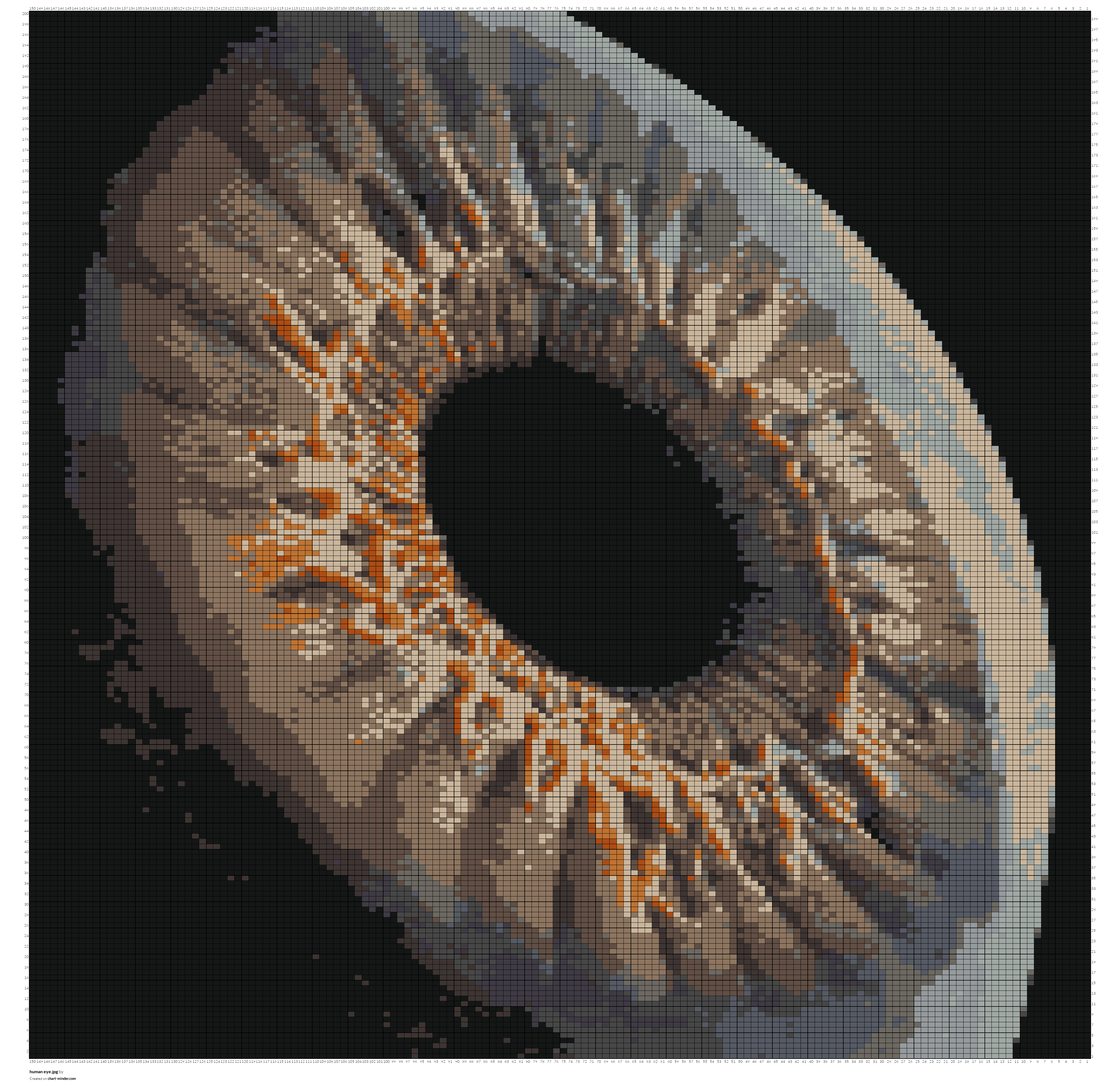 human eye.jpg