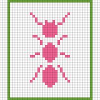 Ant