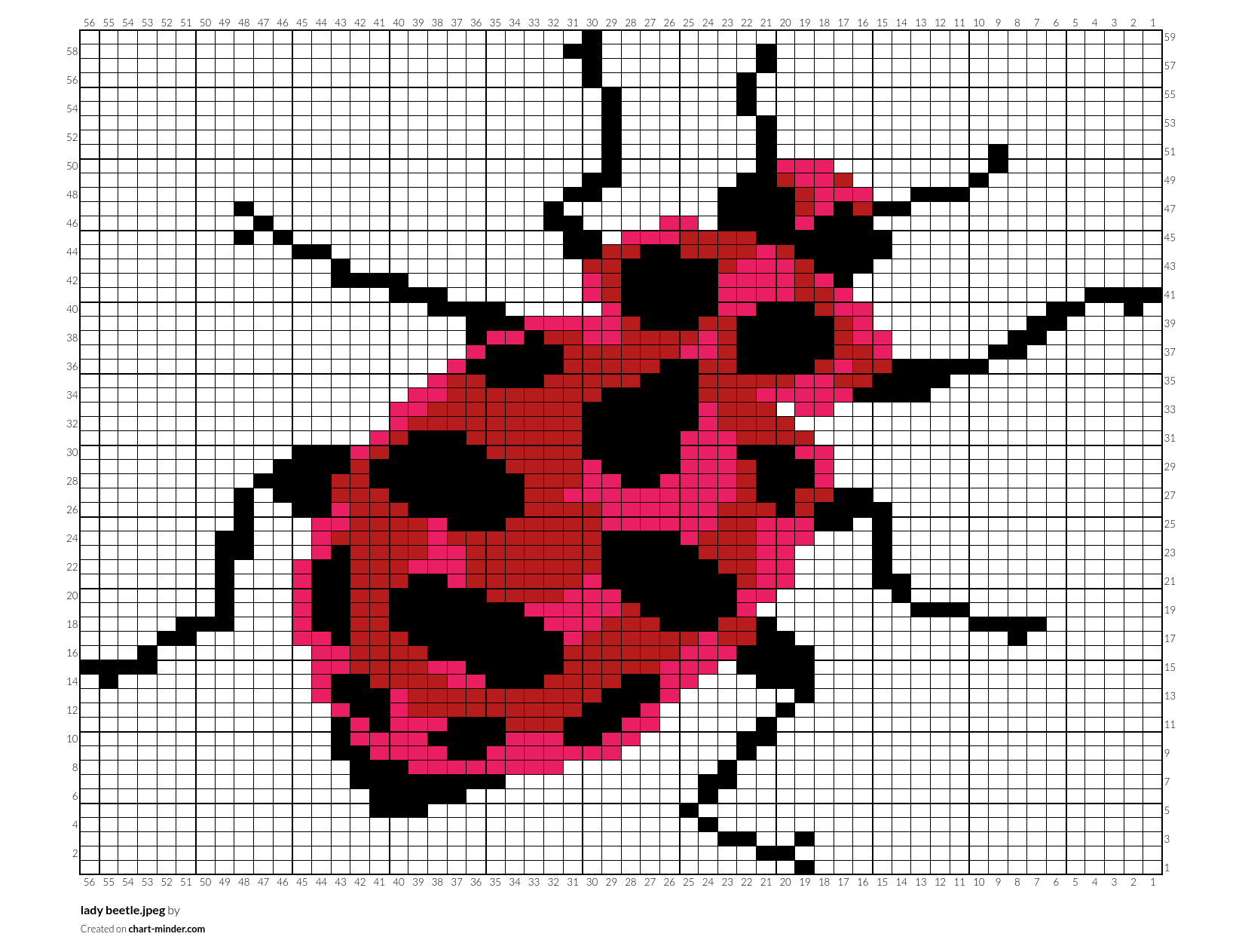 lady beetle.jpeg