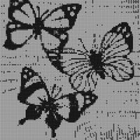 Copy of IMG_20230703_185944.jpg