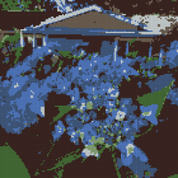 Copy of Copy of Blue Hydrangea.jpg