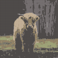 Highland cow pic.jpg