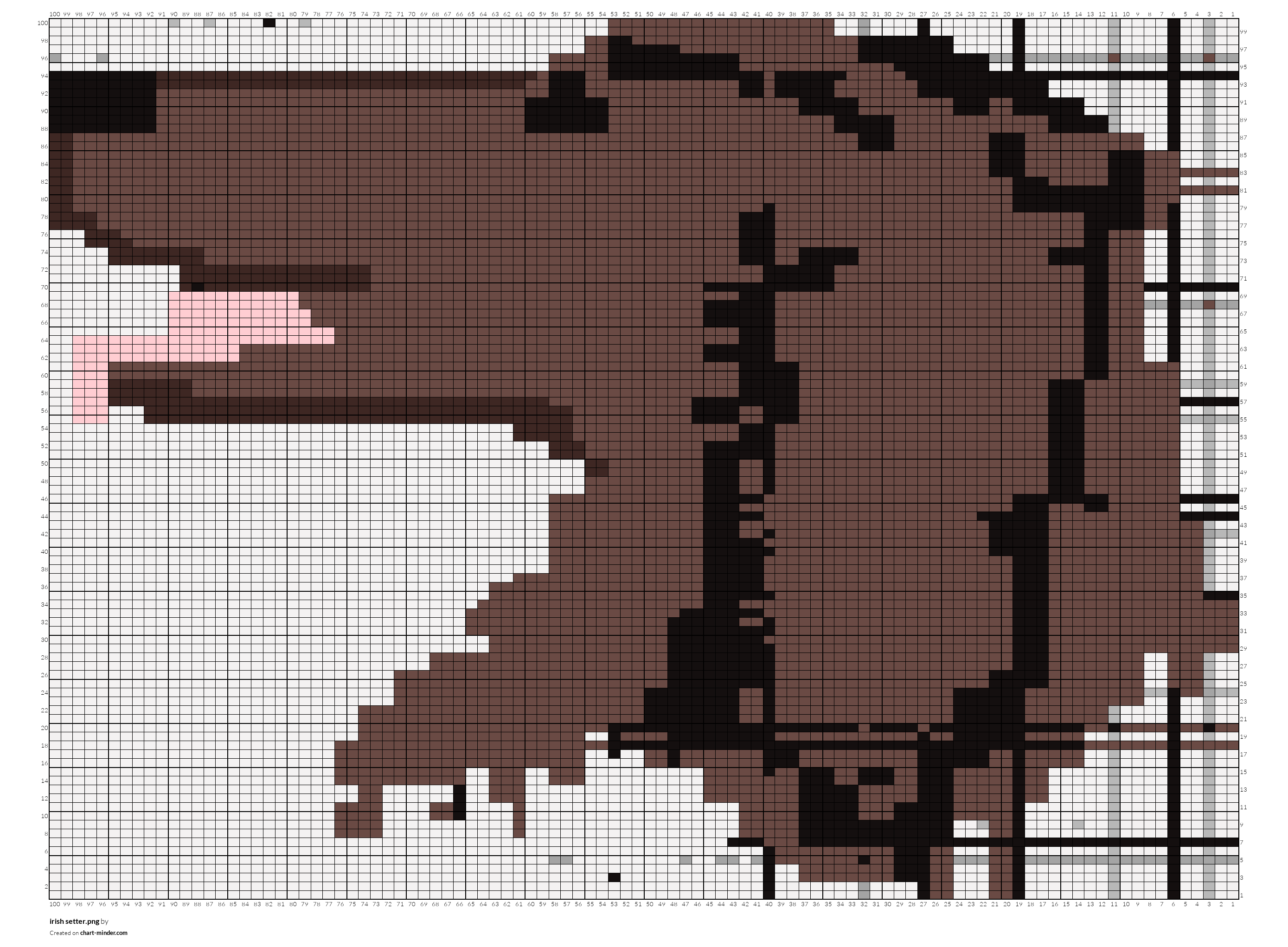 irish setter.png