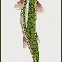trout.jpg