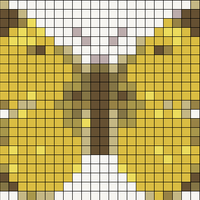 yellow butterfly.jpeg