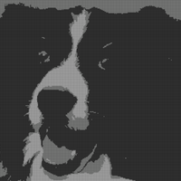 Copy of Hunter sw.jpg