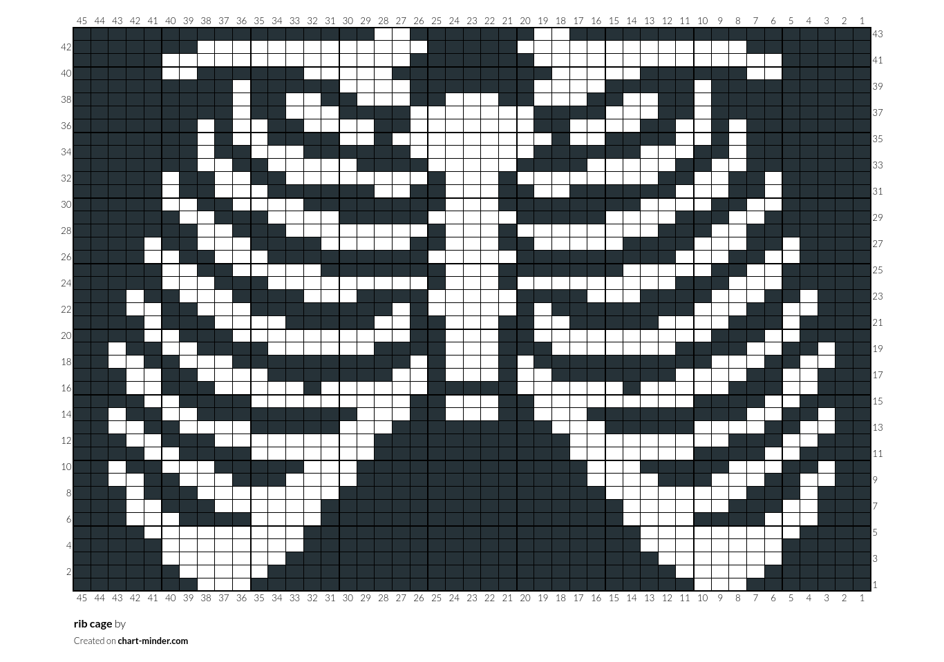 rib cage