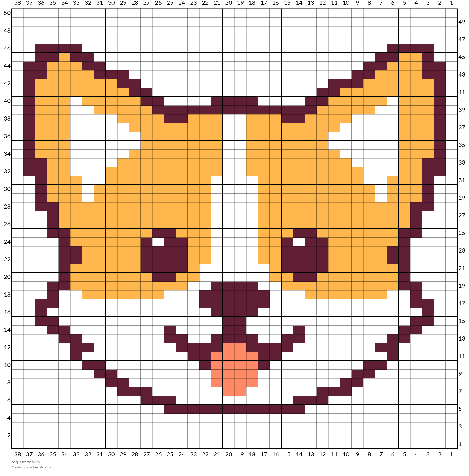 corgi face.webp