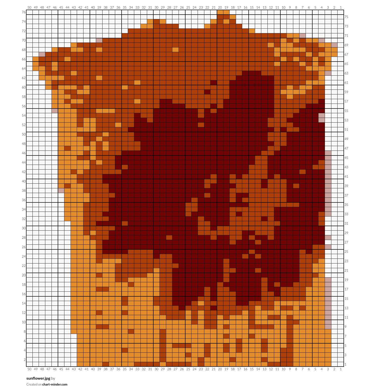 sunflower.jpg