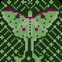 Copy of 2FF79E6C-50AD-46A2-942F-298A739498A6.jpeg