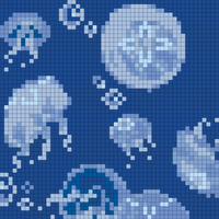 moon jelly
