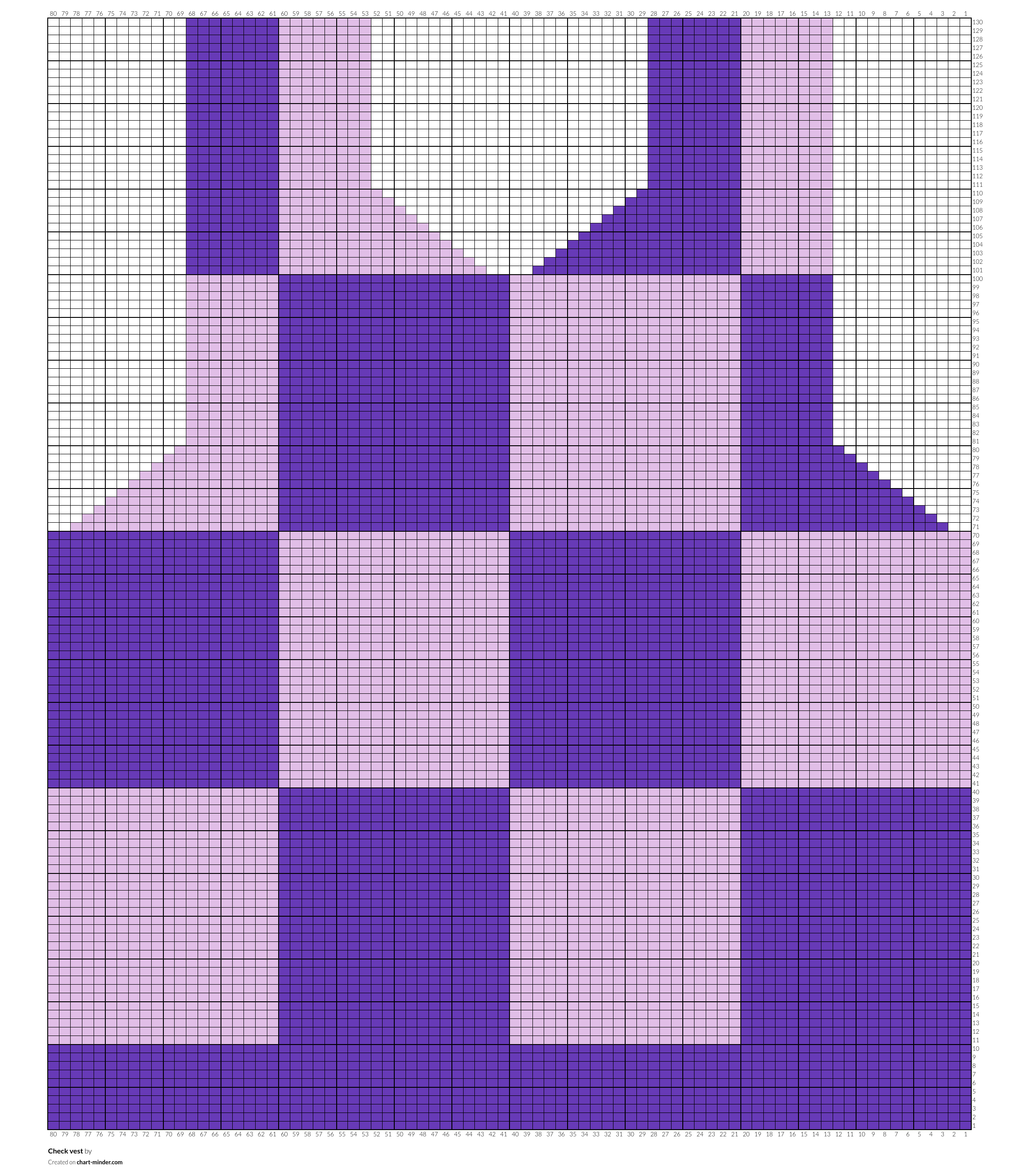 Check vest
