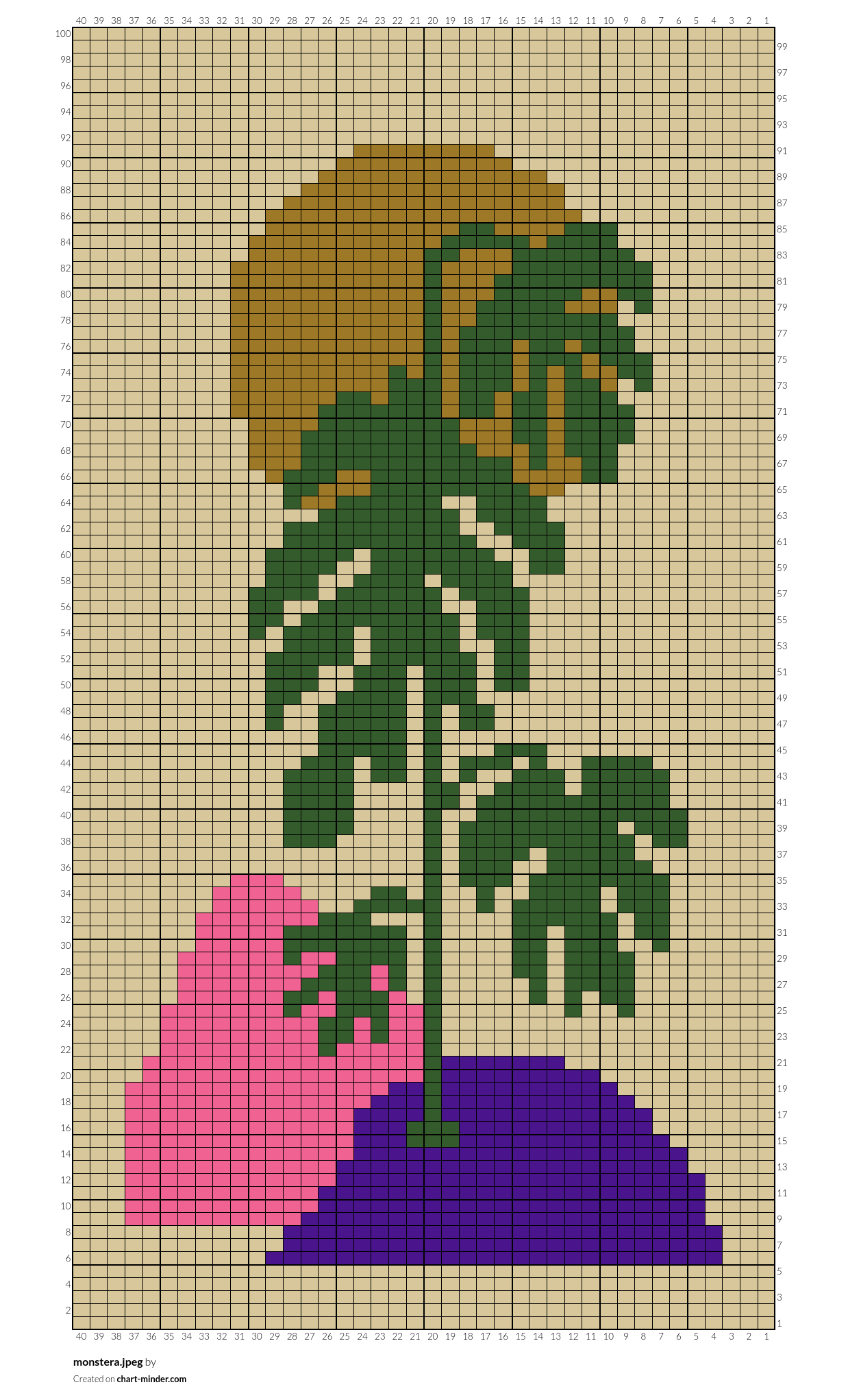 monstera.jpeg