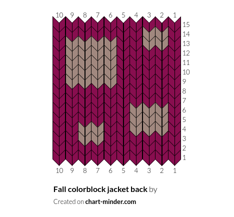 Fall colorblock jacket back