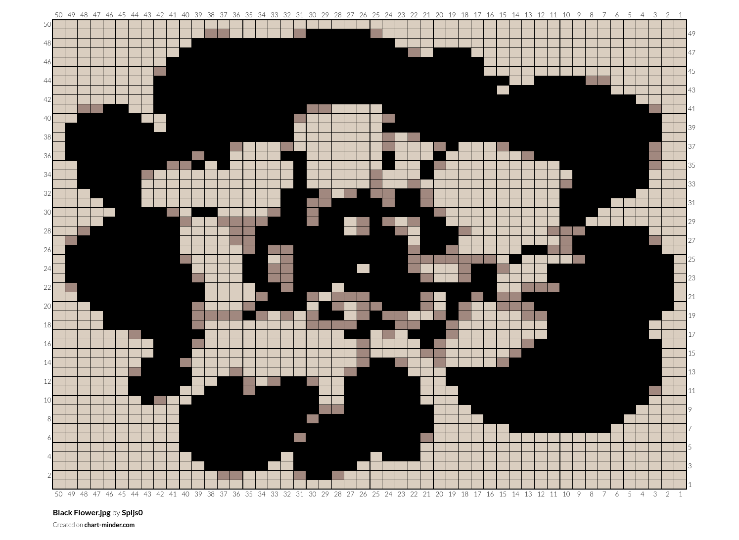 Black Flower.jpg