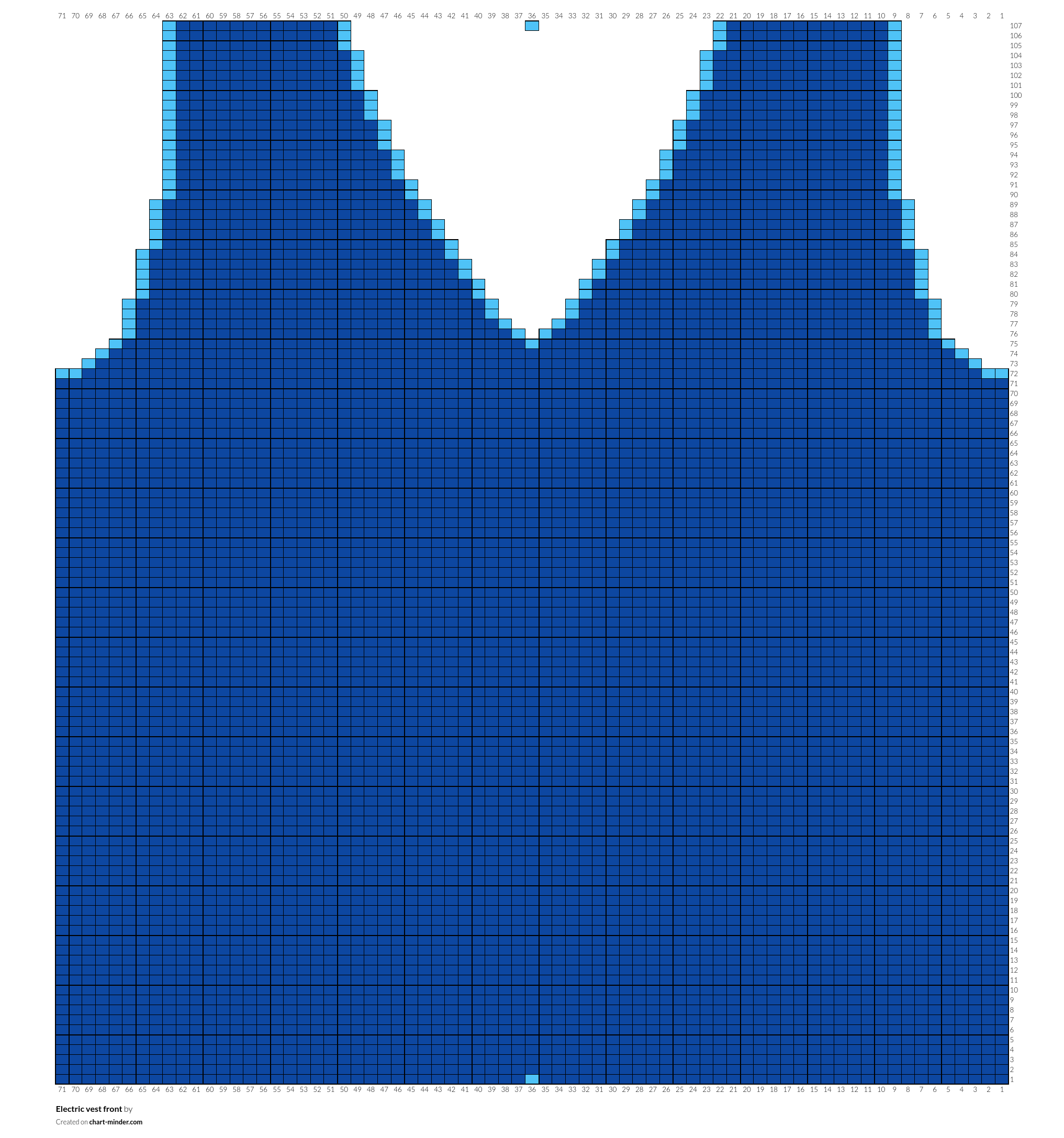 Electric vest front