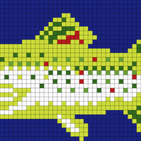 Copy of Fish 