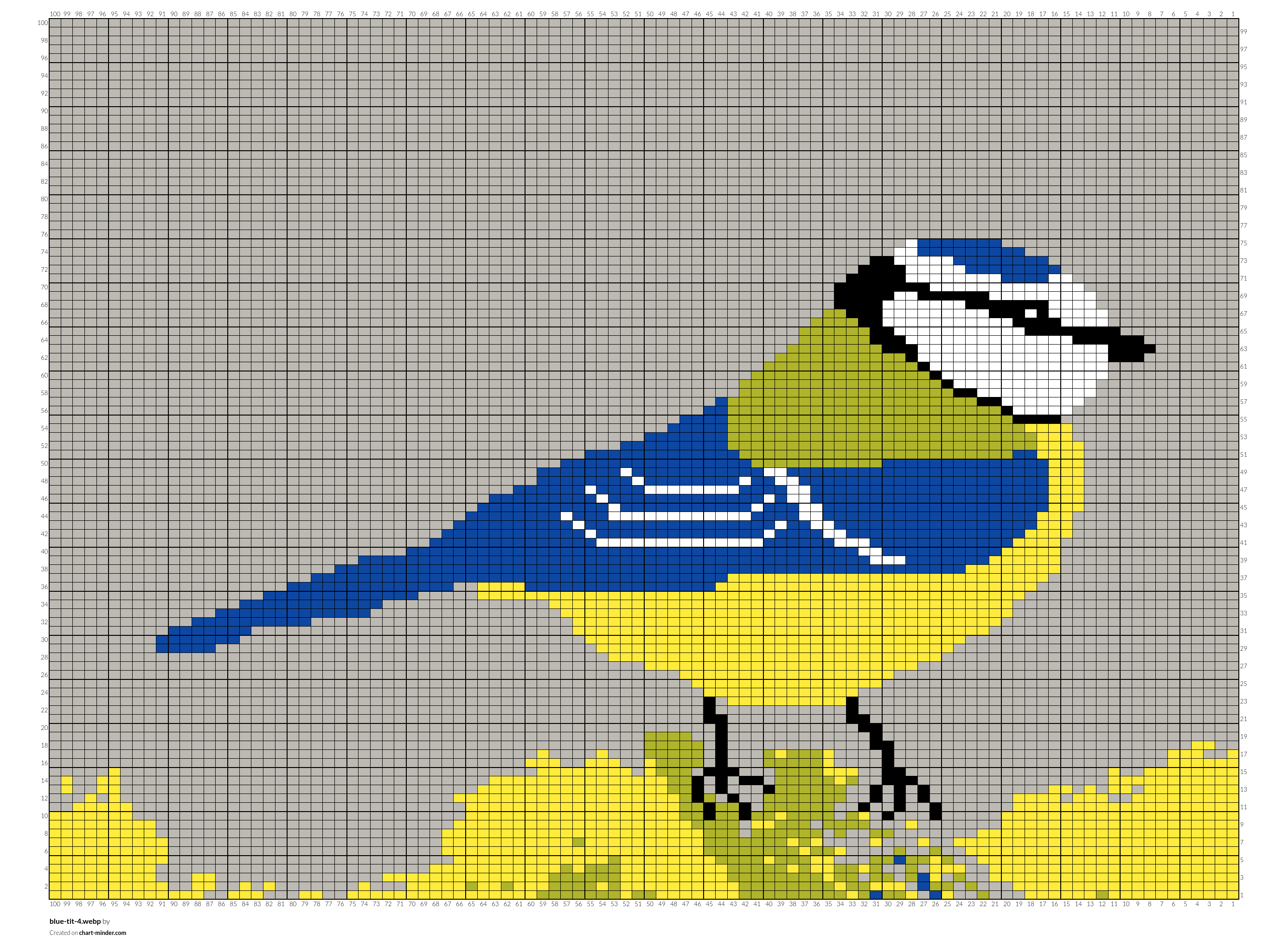 blue-tit-4.webp