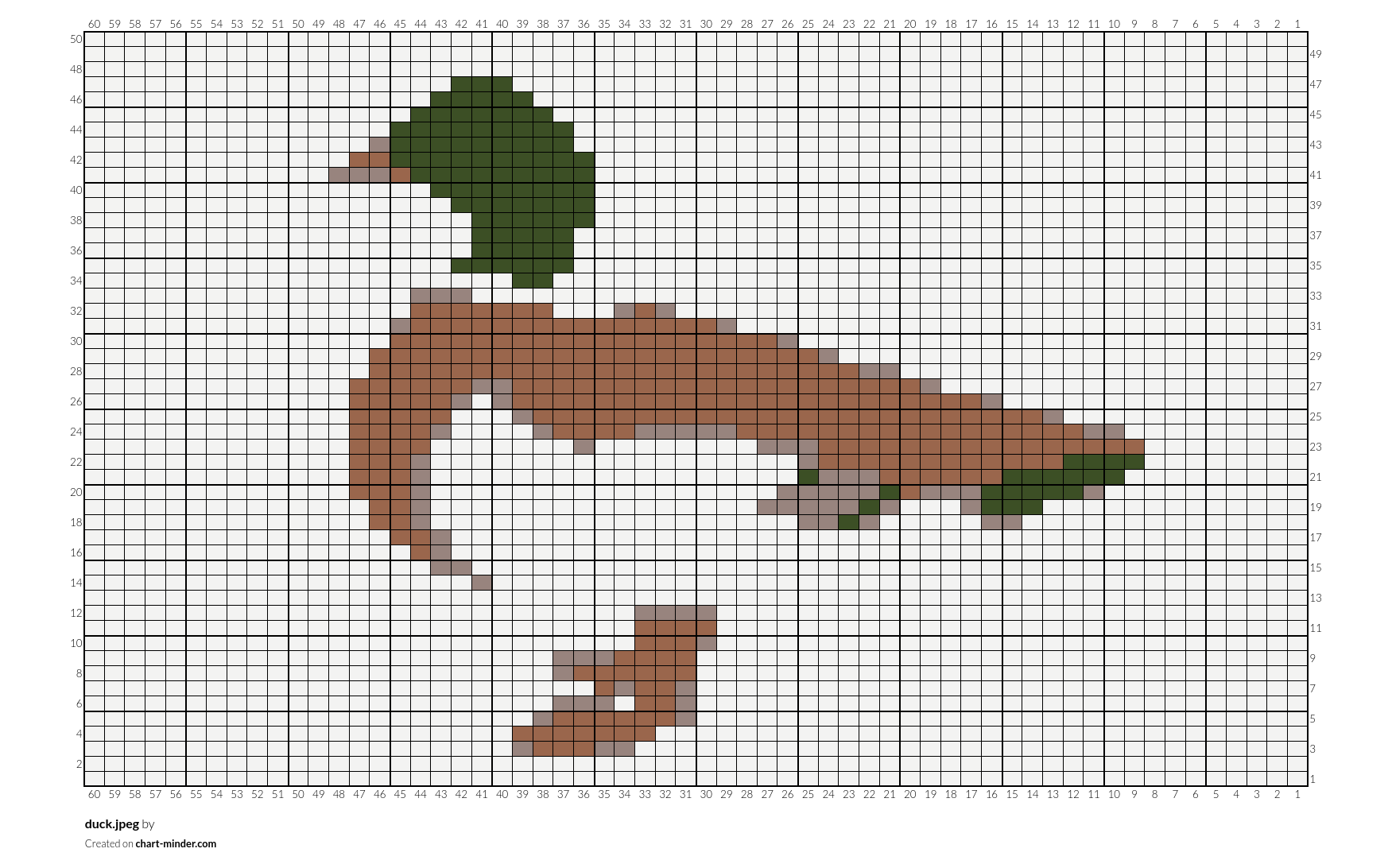 duck.jpeg