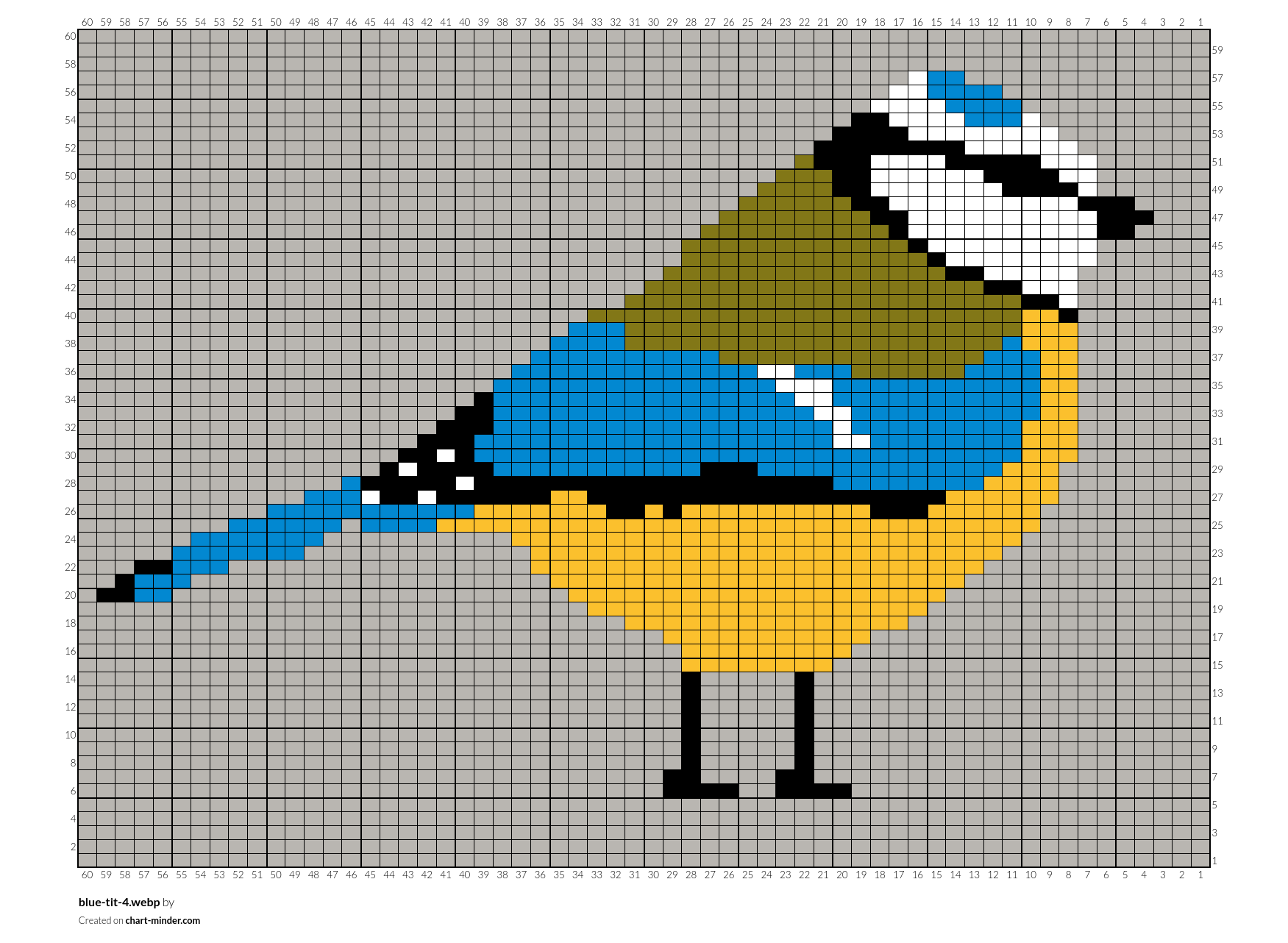 blue-tit-4.webp