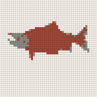 salmon 2.webp