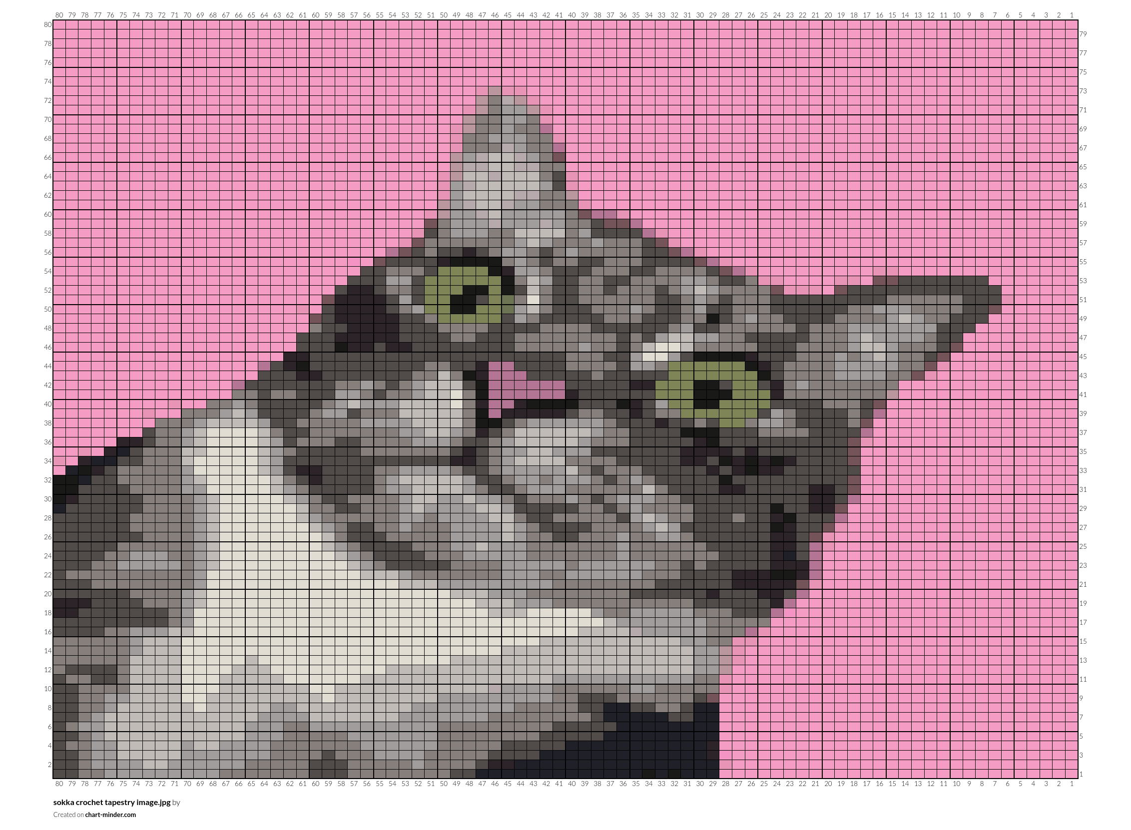 sokka crochet tapestry image.jpg