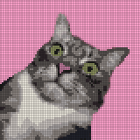 sokka crochet tapestry image.jpg