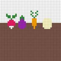 vegetable